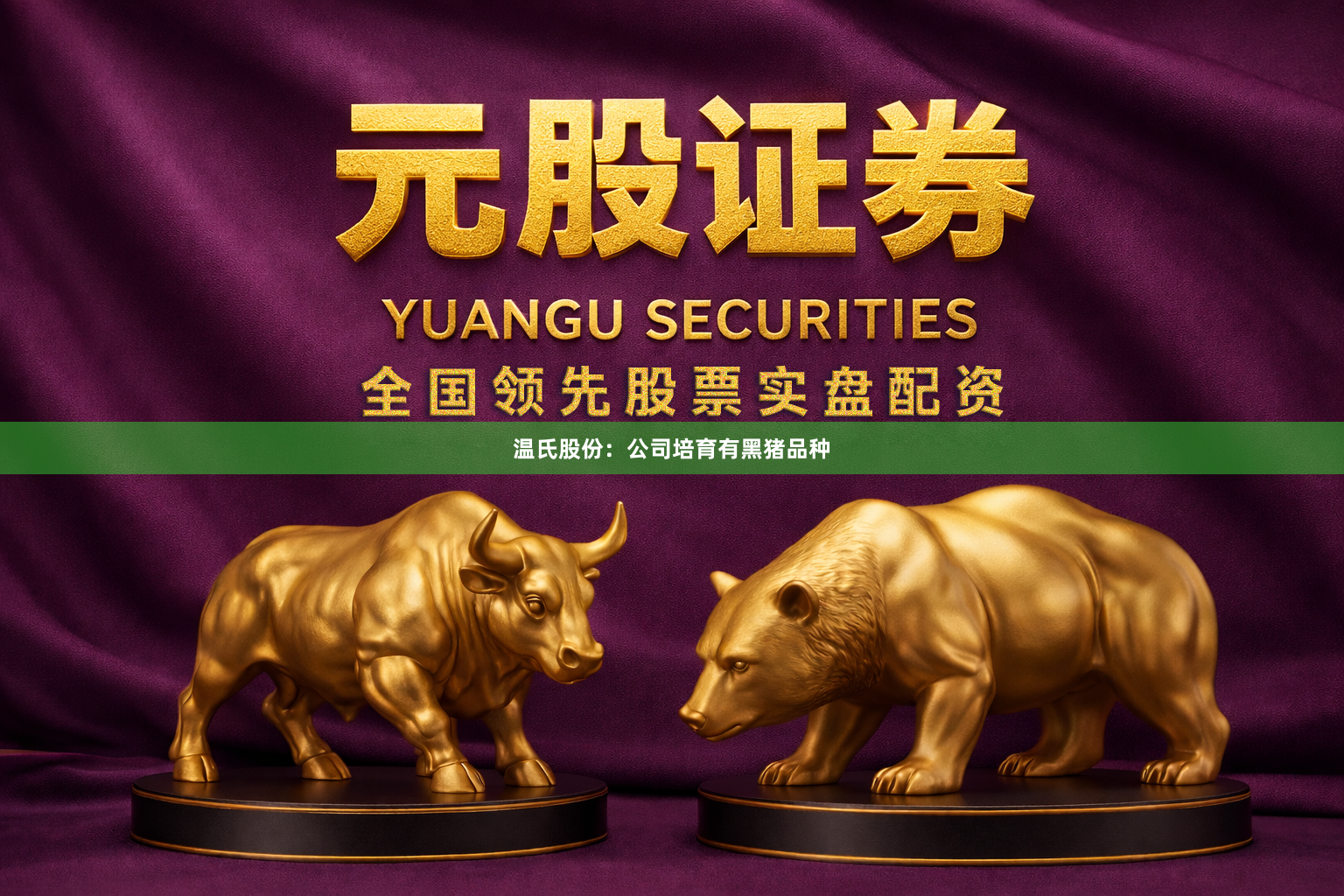 温氏股份：公司培育有黑猪品种