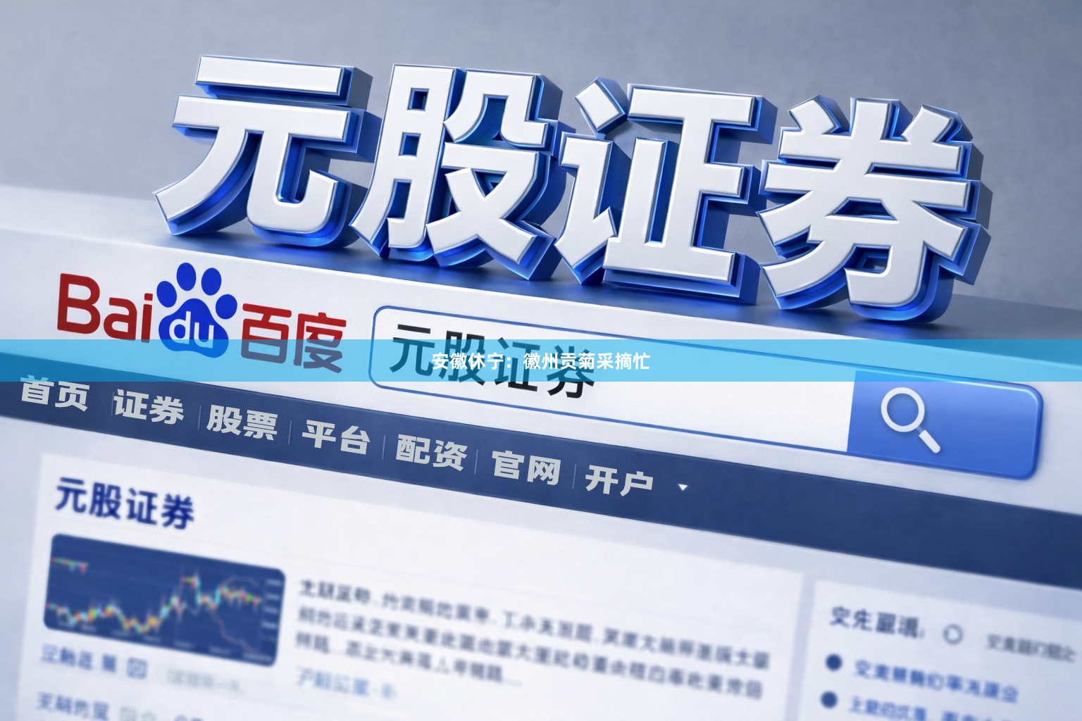 安徽休宁：徽州贡菊采摘忙